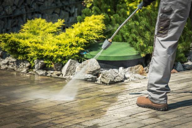 Best Sidewalk and Walkway Cleaning  in Zilwaukee, MI