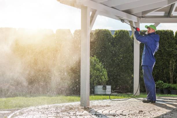 Best Animal Enclosure Cleaning  in Zilwaukee, MI
