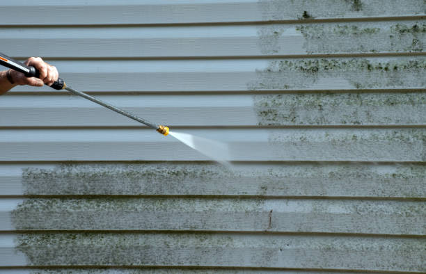Best Patio and Deck Pressure Washing  in Zilwaukee, MI