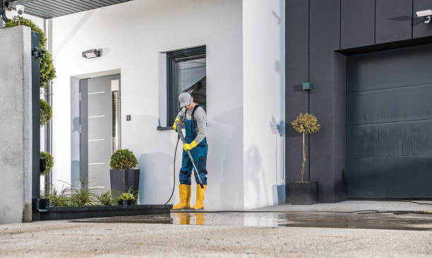 Best Soft Washing  in Zilwaukee, MI